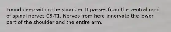 Found deep within the shoulder. It passes from the ventral rami of spinal nerves C5-T1. Nerves from here innervate the lower part of the shoulder and the entire arm.