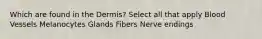 Which are found in the Dermis? Select all that apply Blood Vessels Melanocytes Glands Fibers Nerve endings