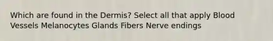 Which are found in the Dermis? Select all that apply Blood Vessels Melanocytes Glands Fibers Nerve endings