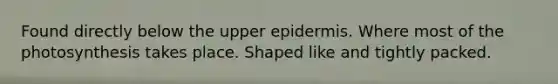 Found directly below the upper epidermis. Where most of the photosynthesis takes place. Shaped like and tightly packed.