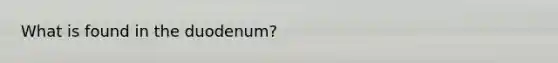 What is found in the duodenum?