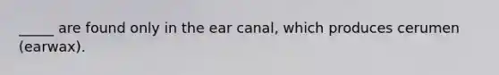 _____ are found only in the ear canal, which produces cerumen (earwax).