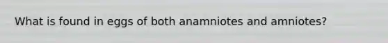 What is found in eggs of both anamniotes and amniotes?