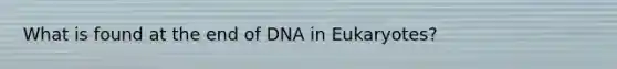 What is found at the end of DNA in Eukaryotes?