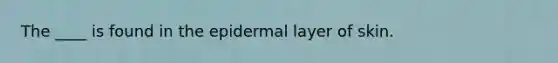 The ____ is found in the epidermal layer of skin.