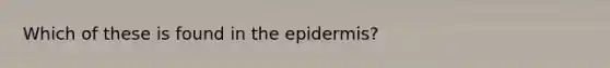 Which of these is found in the epidermis?