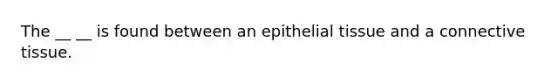 The __ __ is found between an epithelial tissue and a connective tissue.