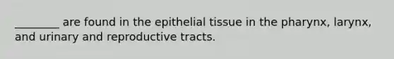 ________ are found in the epithelial tissue in the pharynx, larynx, and urinary and reproductive tracts.