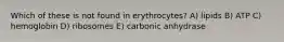 Which of these is not found in erythrocytes? A) lipids B) ATP C) hemoglobin D) ribosomes E) carbonic anhydrase