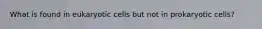 What is found in eukaryotic cells but not in prokaryotic cells?