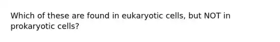 Which of these are found in eukaryotic cells, but NOT in prokaryotic cells?