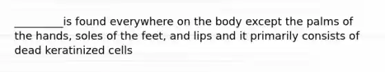 _________is found everywhere on the body except the palms of the hands, soles of the feet, and lips and it primarily consists of dead keratinized cells