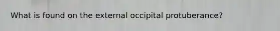 What is found on the external occipital protuberance?