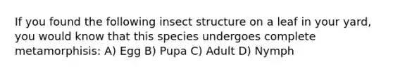 If you found the following insect structure on a leaf in your yard, you would know that this species undergoes complete metamorphisis: A) Egg B) Pupa C) Adult D) Nymph