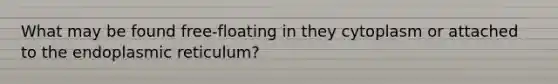 What may be found free-floating in they cytoplasm or attached to the endoplasmic reticulum?