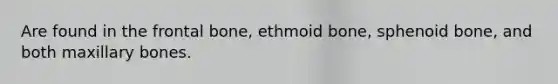 Are found in the frontal bone, ethmoid bone, sphenoid bone, and both maxillary bones.