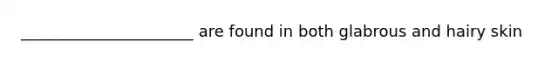 ______________________ are found in both glabrous and hairy skin