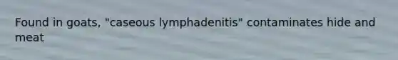 Found in goats, "caseous lymphadenitis" contaminates hide and meat