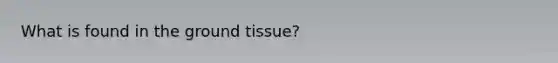 What is found in the <a href='https://www.questionai.com/knowledge/kb0kKBaH0H-ground-tissue' class='anchor-knowledge'>ground tissue</a>?