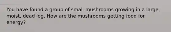 You have found a group of small mushrooms growing in a large, moist, dead log. How are the mushrooms getting food for energy?