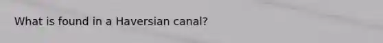 What is found in a Haversian canal?