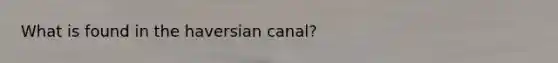 What is found in the haversian canal?