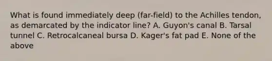 What is found immediately deep (far-field) to the Achilles tendon, as demarcated by the indicator line? A. Guyon's canal B. Tarsal tunnel C. Retrocalcaneal bursa D. Kager's fat pad E. None of the above