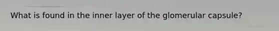 What is found in the inner layer of the glomerular capsule?