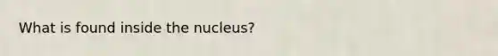 What is found inside the nucleus?