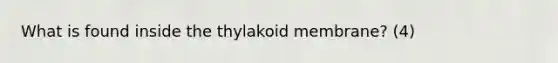 What is found inside the thylakoid membrane? (4)