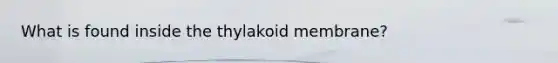 What is found inside the thylakoid membrane?