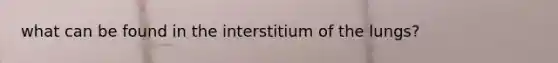 what can be found in the interstitium of the lungs?