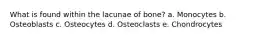 What is found within the lacunae of bone? a. Monocytes b. Osteoblasts c. Osteocytes d. Osteoclasts e. Chondrocytes