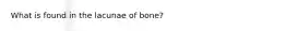 What is found in the lacunae of bone?