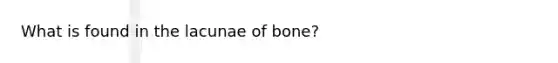 What is found in the lacunae of bone?