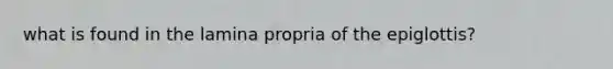 what is found in the lamina propria of the epiglottis?