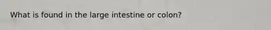 What is found in the large intestine or colon?