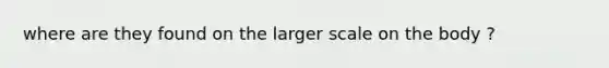 where are they found on the larger scale on the body ?