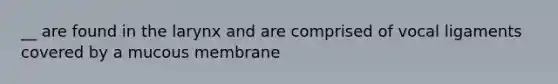 __ are found in the larynx and are comprised of vocal ligaments covered by a mucous membrane