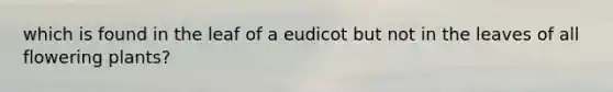 which is found in the leaf of a eudicot but not in the leaves of all flowering plants?