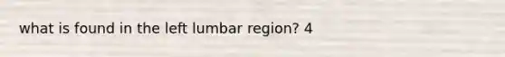 what is found in the left lumbar region? 4