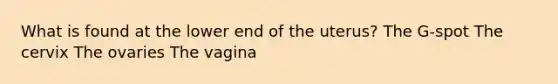 What is found at the lower end of the uterus? The G-spot The cervix The ovaries The vagina