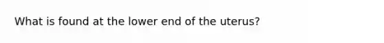 What is found at the lower end of the uterus?