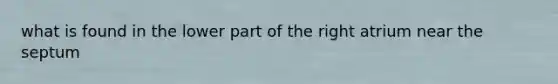 what is found in the lower part of the right atrium near the septum