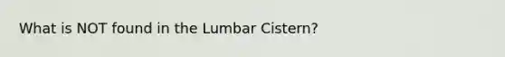 What is NOT found in the Lumbar Cistern?