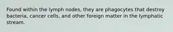 Found within the lymph nodes, they are phagocytes that destroy bacteria, cancer cells, and other foreign matter in the lymphatic stream.