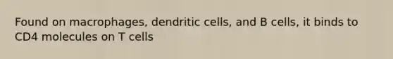 Found on macrophages, dendritic cells, and B cells, it binds to CD4 molecules on T cells