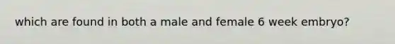 which are found in both a male and female 6 week embryo?