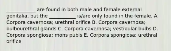 ____________ are found in both male and female external genitalia, but the ___________ is/are only found in the female. A. Corpora cavernosa; urethral orifice B. Corpora cavernosa; bulbourethral glands C. Corpora cavernosa; vestibular bulbs D. Corpora spongiosa; mons pubis E. Corpora spongiosa; urethral orifice