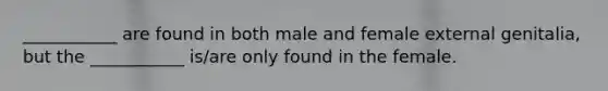 ___________ are found in both male and female external genitalia, but the ___________ is/are only found in the female.